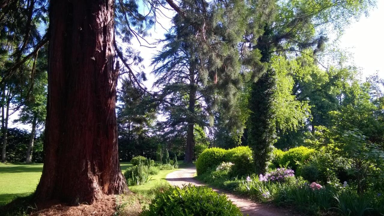 Chateau De La Vernede, La Grande Vernede Saint-Remy-de-Chargnat Ngoại thất bức ảnh